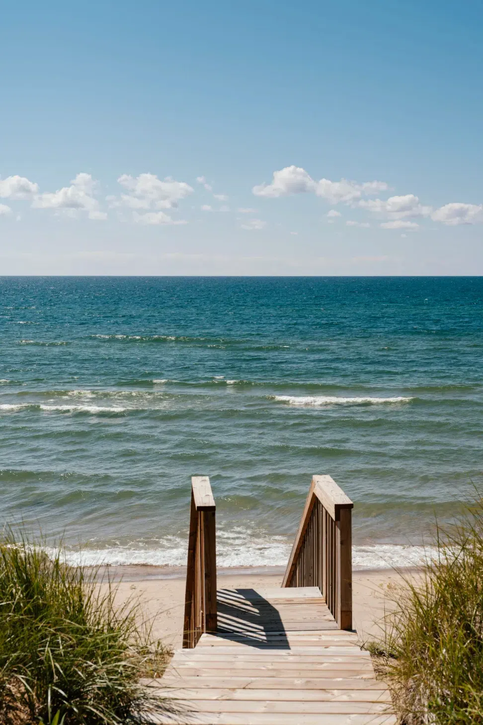 DSCF9008.webp