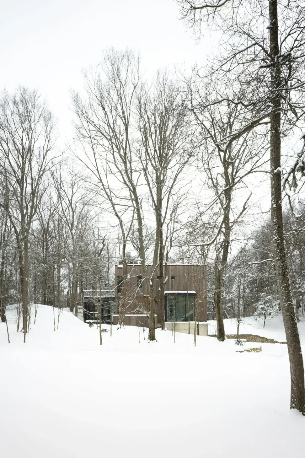 DunegrassWinter01a.webp