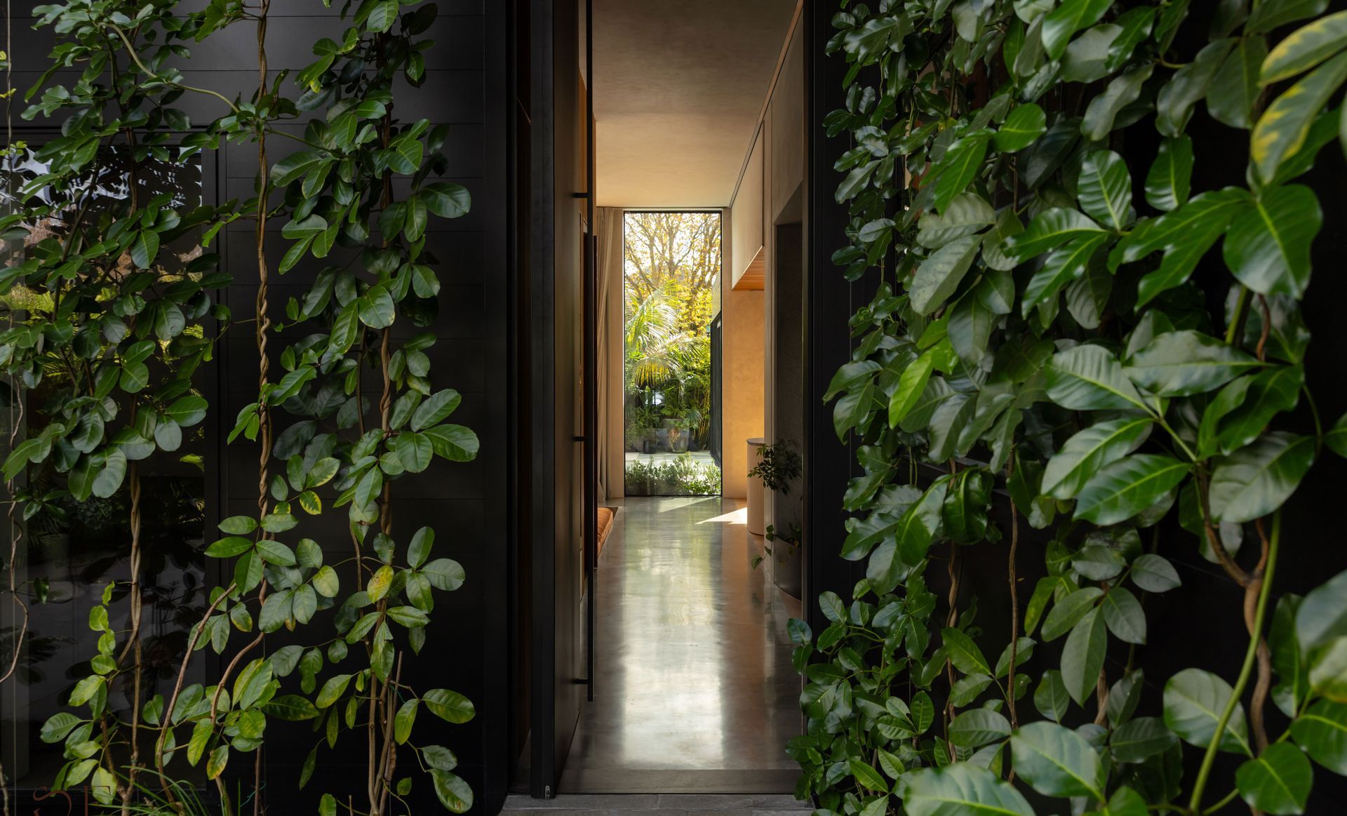 Lightwell
