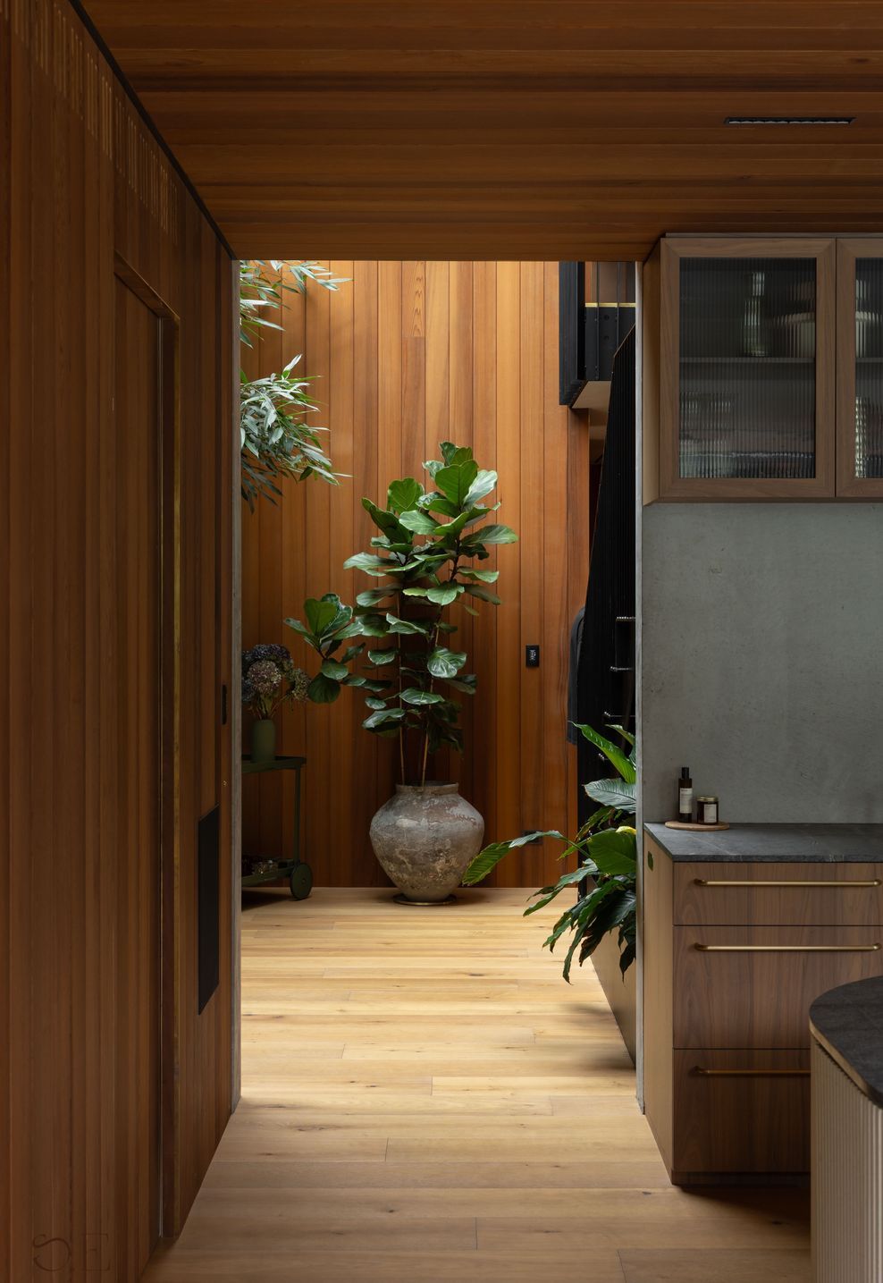 Studio-Elliot-Grey-Lynn-099-ap-compressed.jpg