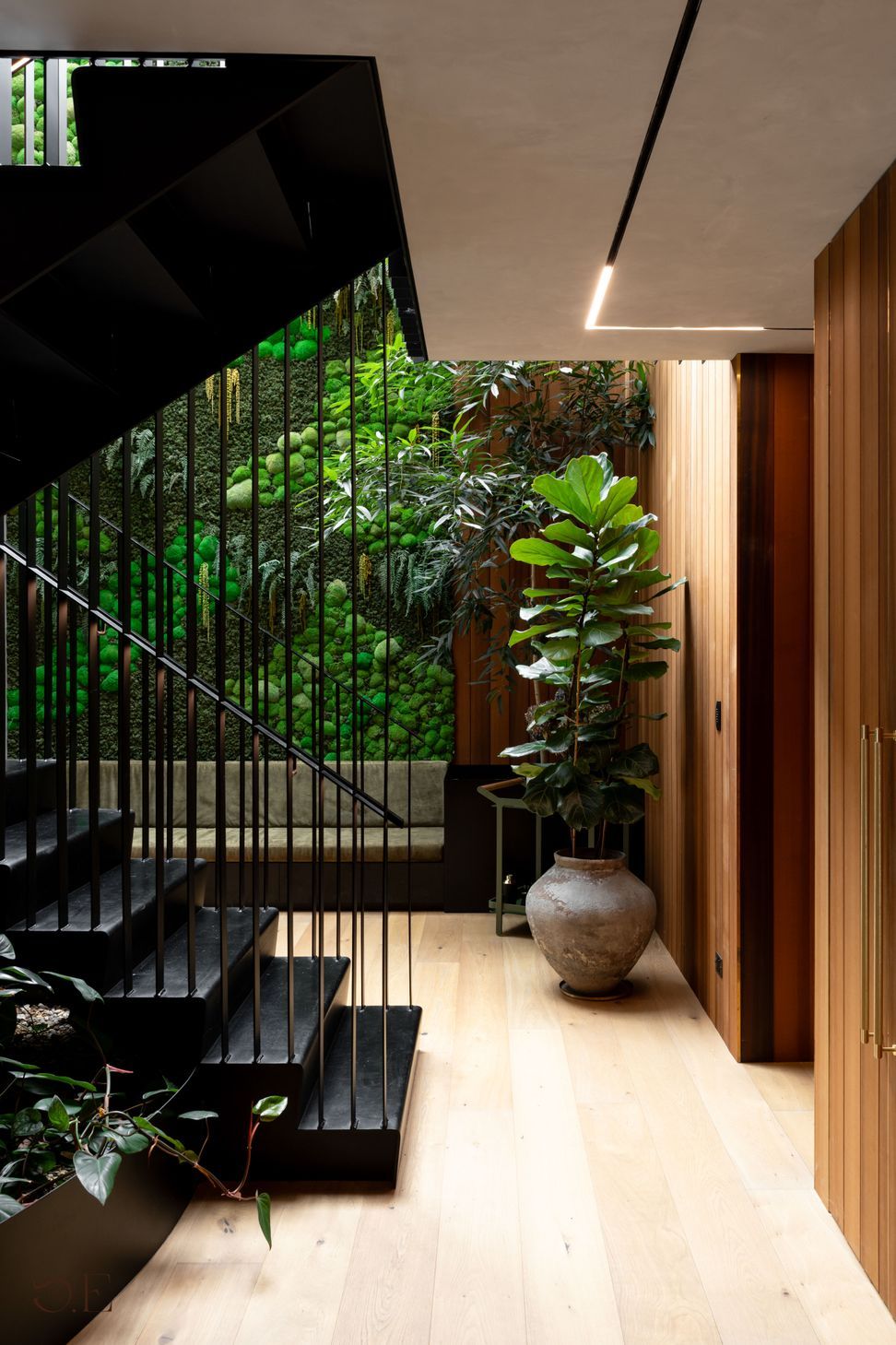 Studio-Elliot-Grey-Lynn-114.jpg