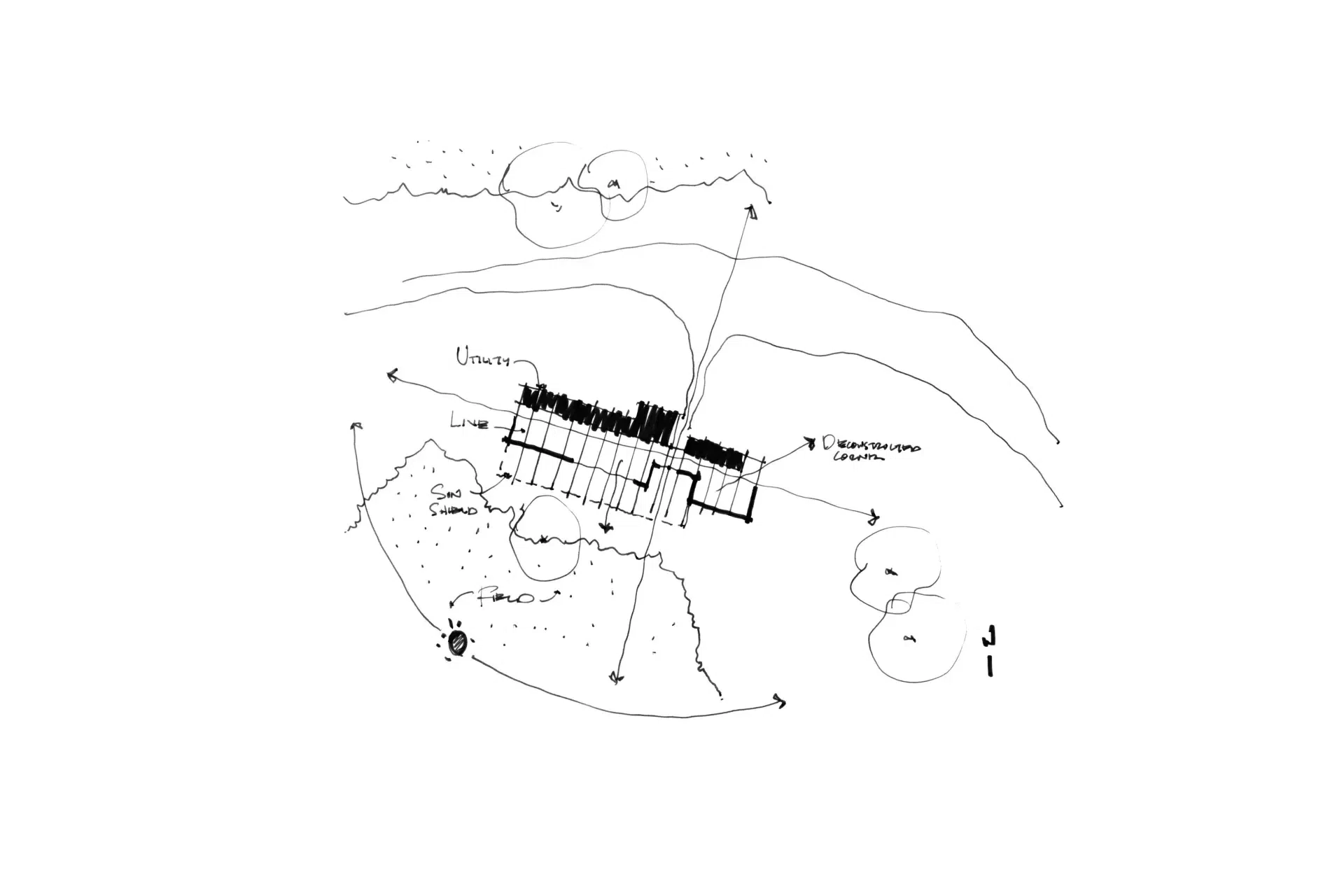 WILDHOPESKETCH.webp