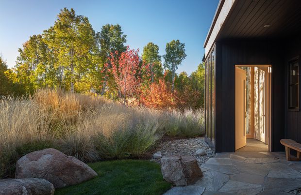 A modern dark-clad building entrance opening onto a landscaped naturalistic garden. The facade features black vertical cladding, a timber-lined soffit, large glazed panels, and a timber entry door. Irregular natural stone paving, boulders, ornamental grasses, and autumn-coloured shrubs create a rustic, integrated setting.