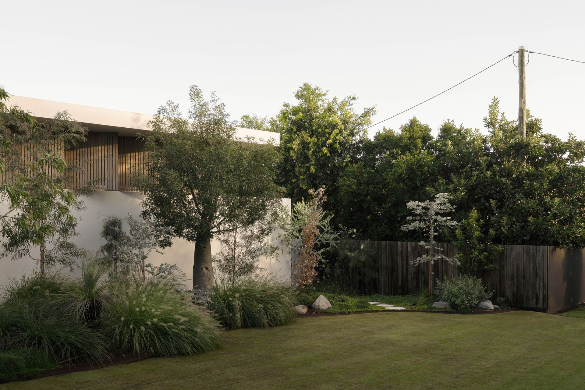 Henderson - Garden. Established front garden with native planting and mature trees.