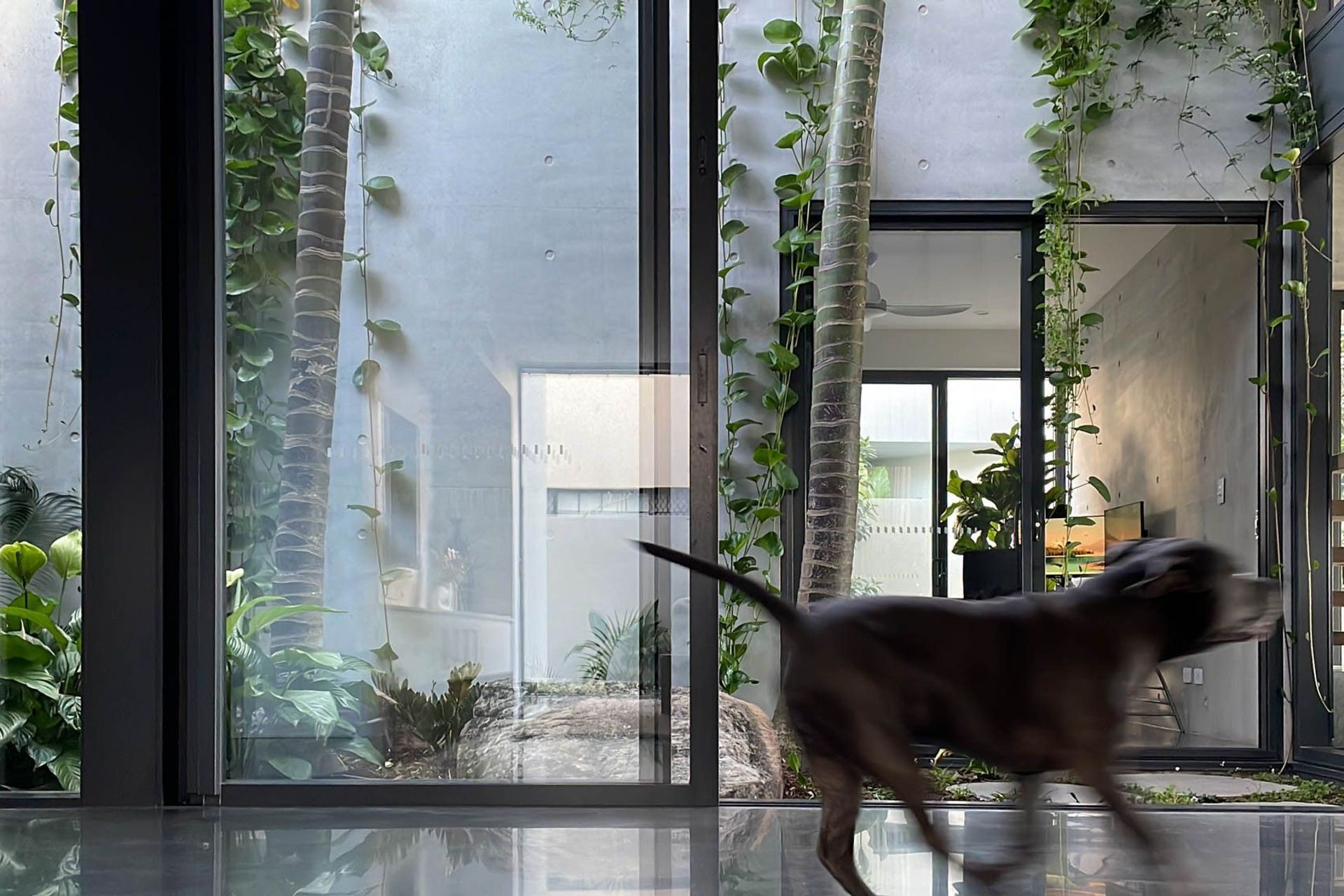 M Residence - Living Room. Sliding glass doors framed by trailing greenery.