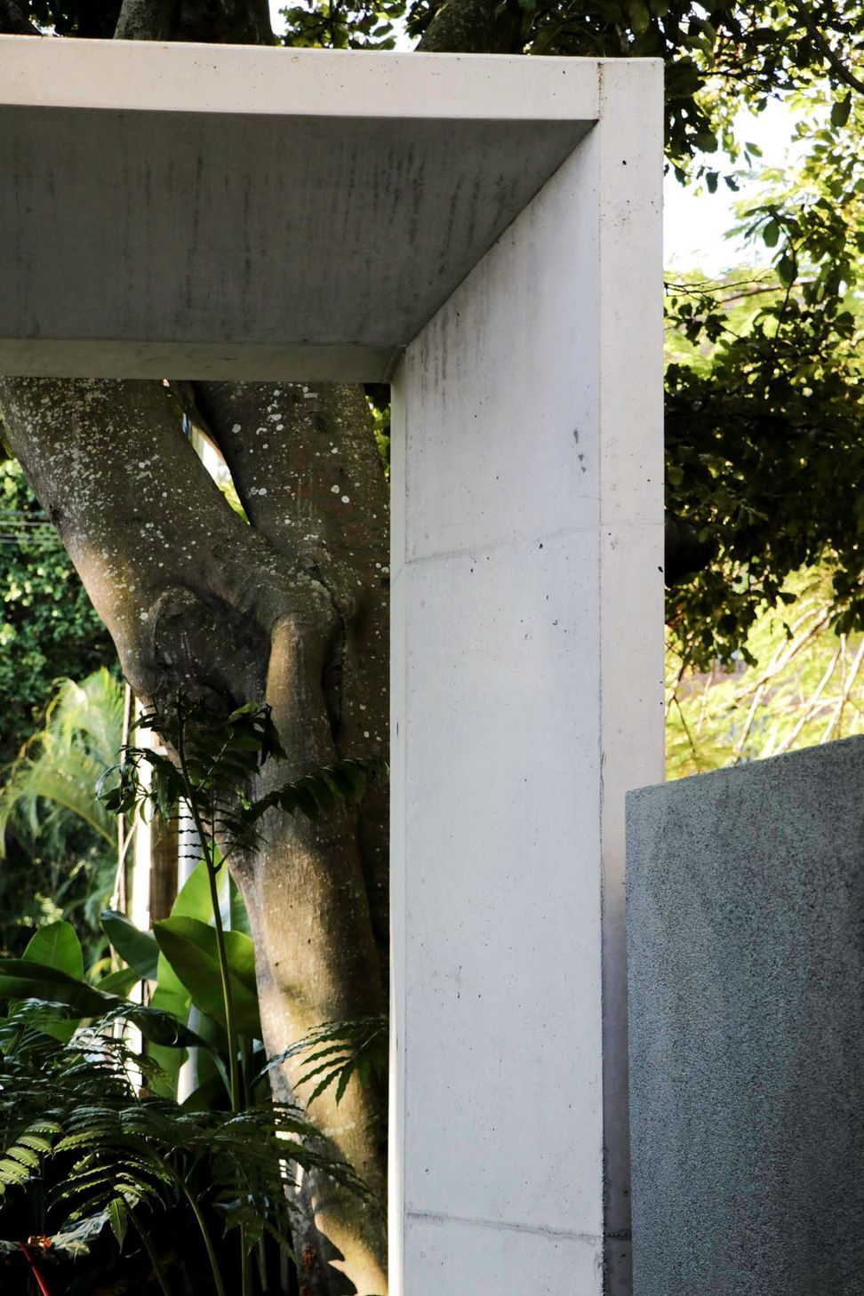 McGovern Residence - Exterior. Concrete walls stepping between the garden trees.