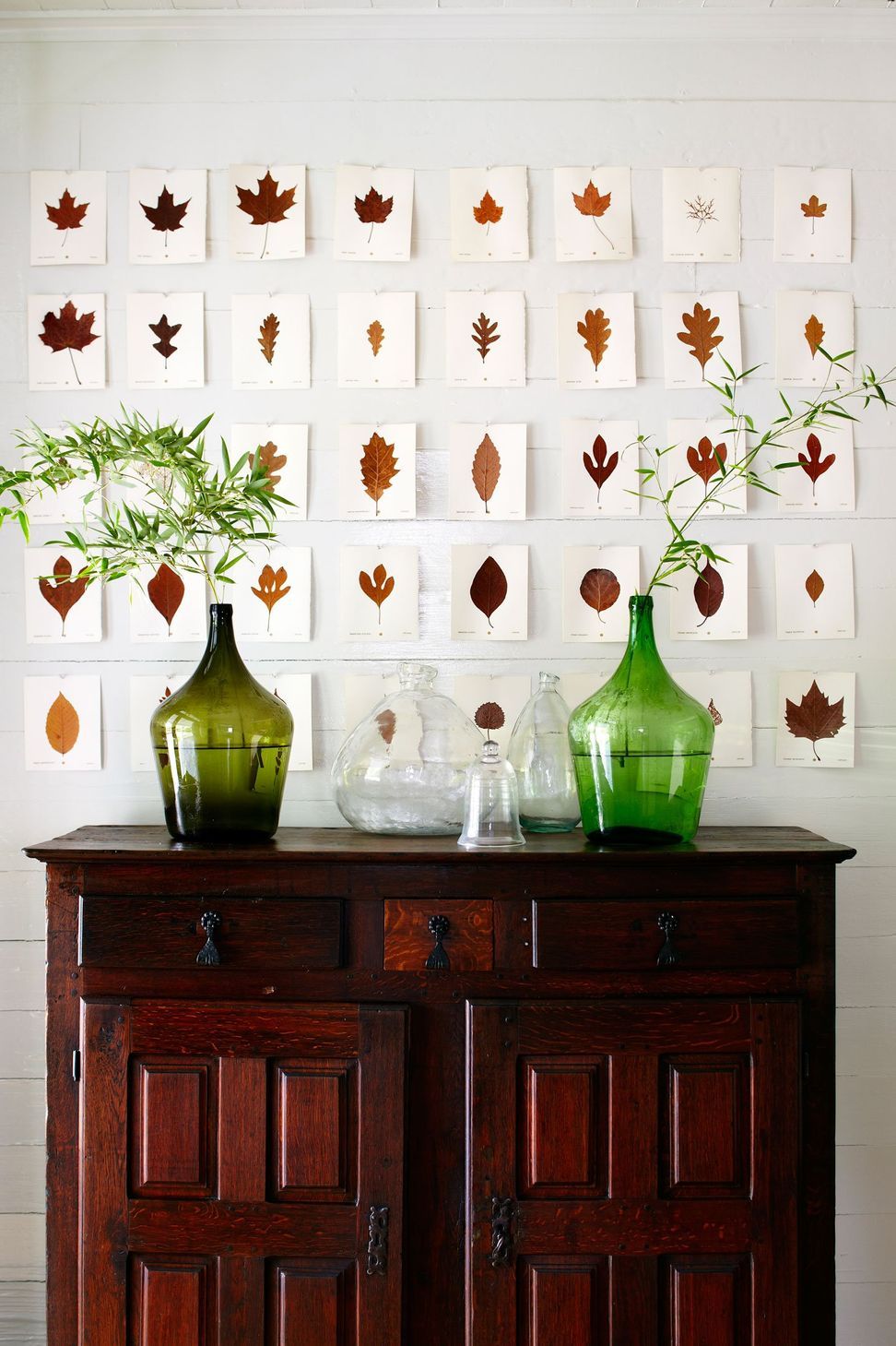 3HistoricHouseCuppettKilpatrickArchitectureandInteriorDesignaustin-tx-vintage-cabinet-leaf-art-display.jpg