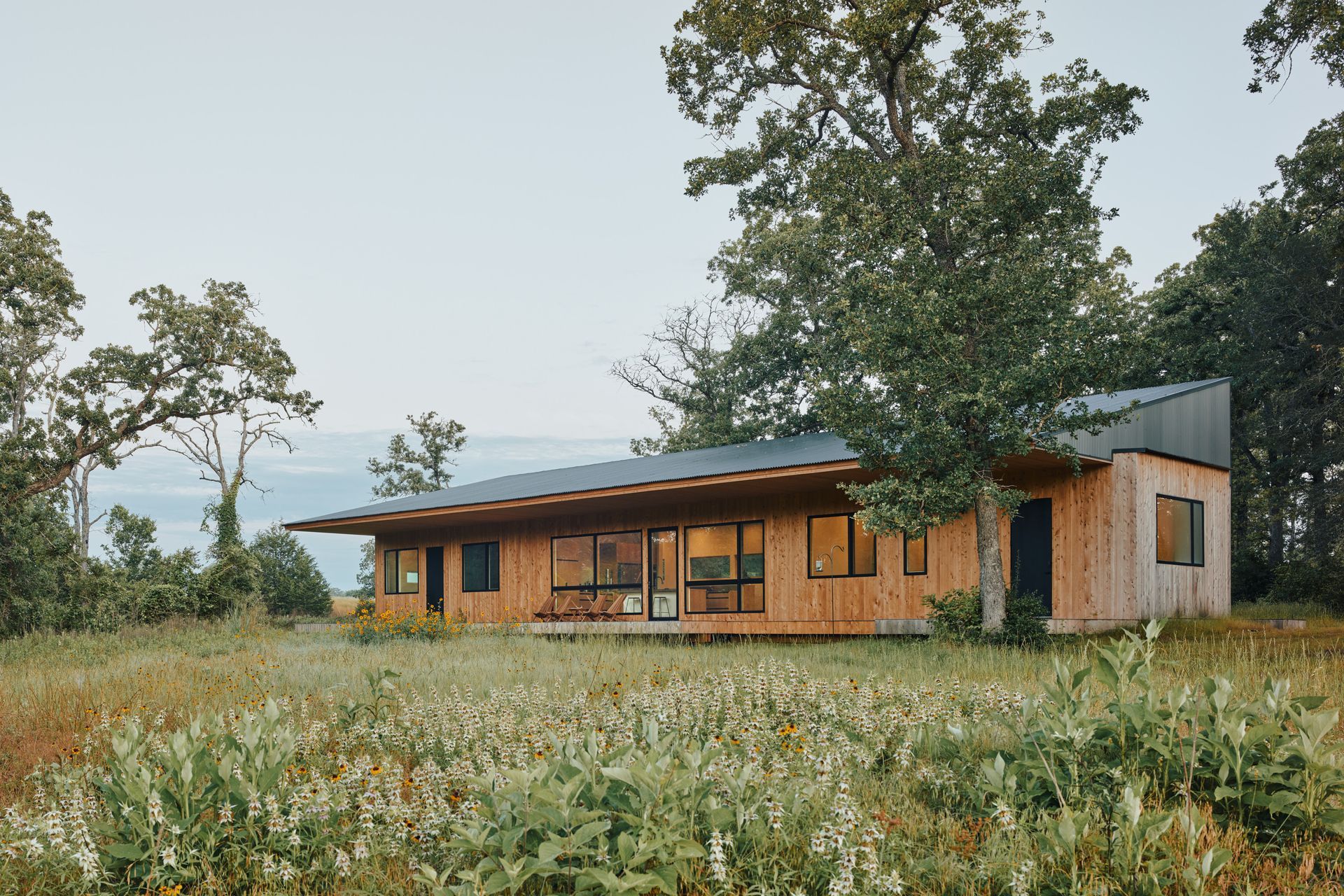 6a7a007aeb942a786b1fc3bdLeonidFurmanskyThorndaleWeb204.jpg