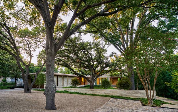 A low, single-storey modern residence partially screened by mature trees. The broad horizontal facade combines pale masonry walls, extensive warm-toned glazing and timber, and a shallow flat or very low-pitched roof. A paved path crosses a gravelled, heavily landscaped front garden beneath a dense canopy of established trees.