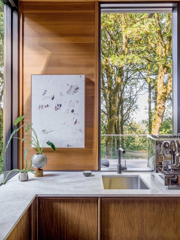 A refined kitchen detail with a broad light stone benchtop, integrated stainless-steel sink and dark brushed-metal tap. Warm timber wall panelling and timber cabinetry frame a large opening with views into leafy trees. A coffee machine and small potted plants sit on the benchtop, while an abstract artwork adds a subtle decorative element. The composition is bright, warm, and strongly connected to the surrounding landscape.