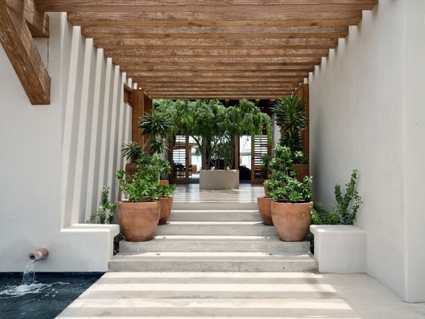 A covered architectural passageway with white rendered walls, a richly textured timber-beamed ceiling, and broad pale stone or concrete steps leading through a planted courtyard. Large terracotta pots with lush tropical plants frame the stairway, while a small water feature occupies the lower left corner. Timber screens and greenery are visible beyond the passage.