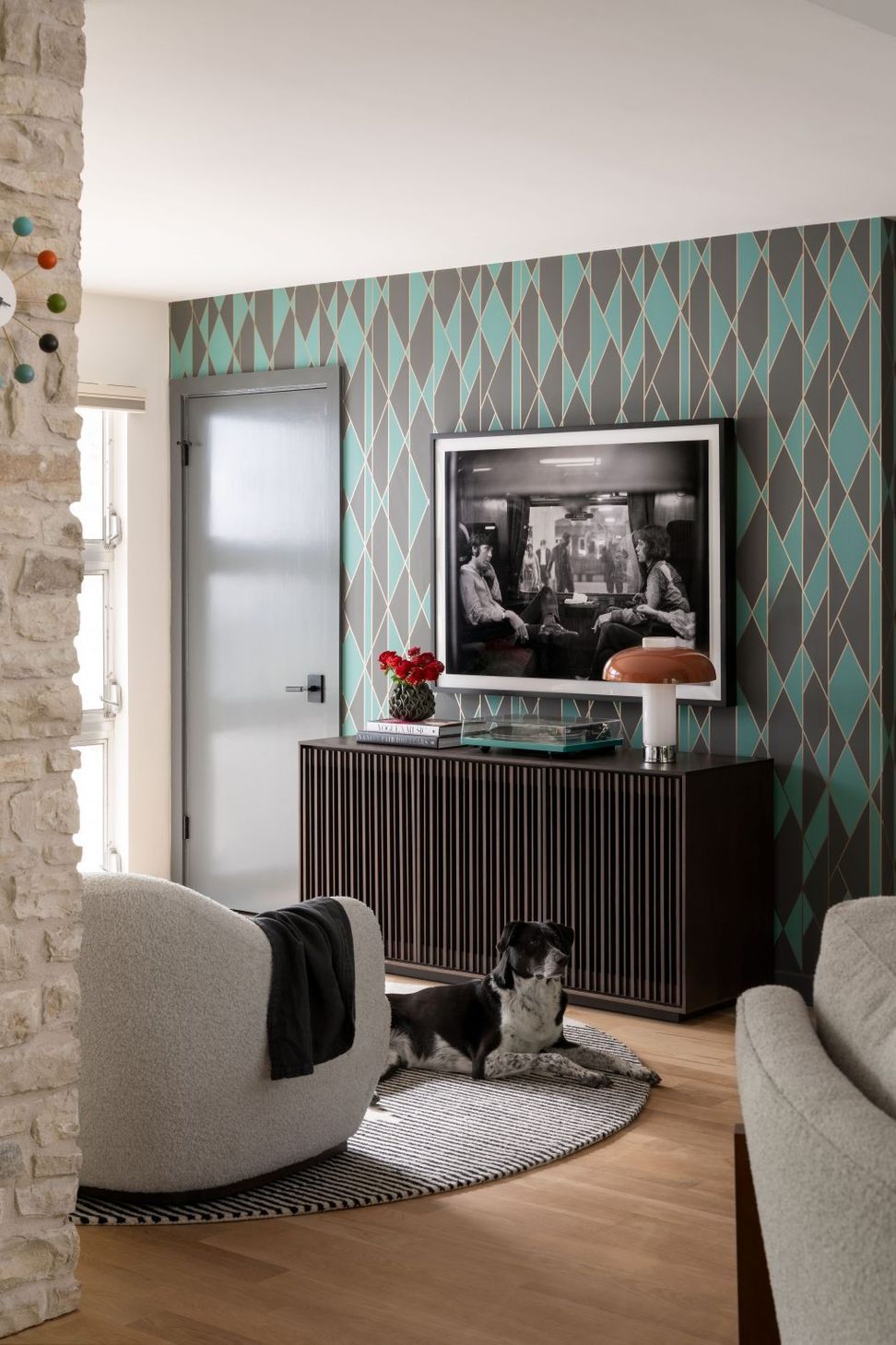 Media-Room-w-Dog-1211x1536.jpg