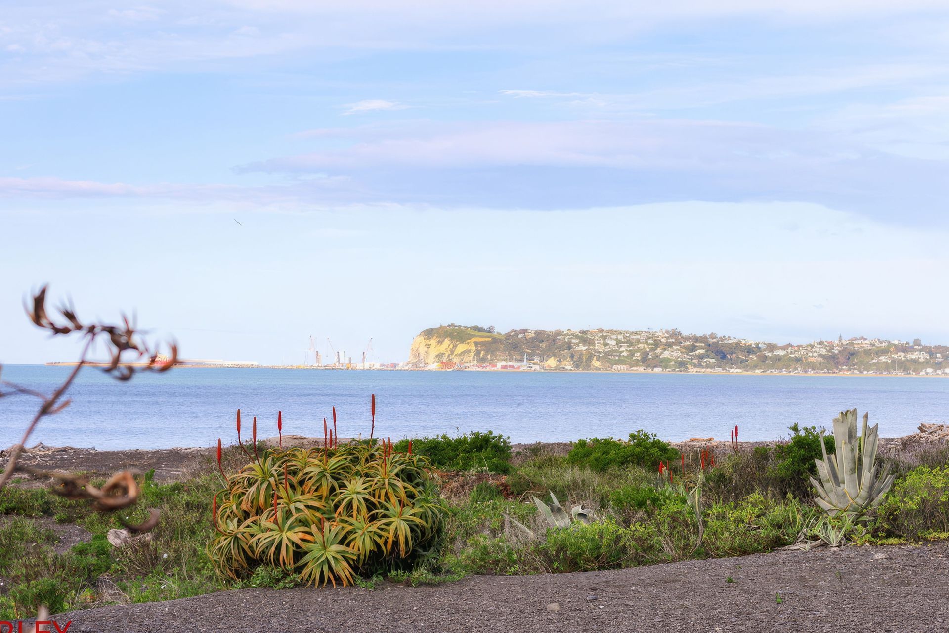 seaside11-gigapixel.jpg