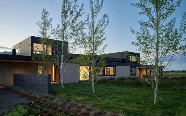 A low, contemporary single-storey residence viewed from the landscaped front garden. The building has a strongly horizontal composition with dark charcoal cladding, warm timber-toned wall panels and window reveals, broad roof planes, and large rectangular windows. Young deciduous trees, lawn, and planted garden beds surround the house, while open rural fields are visible beyond.