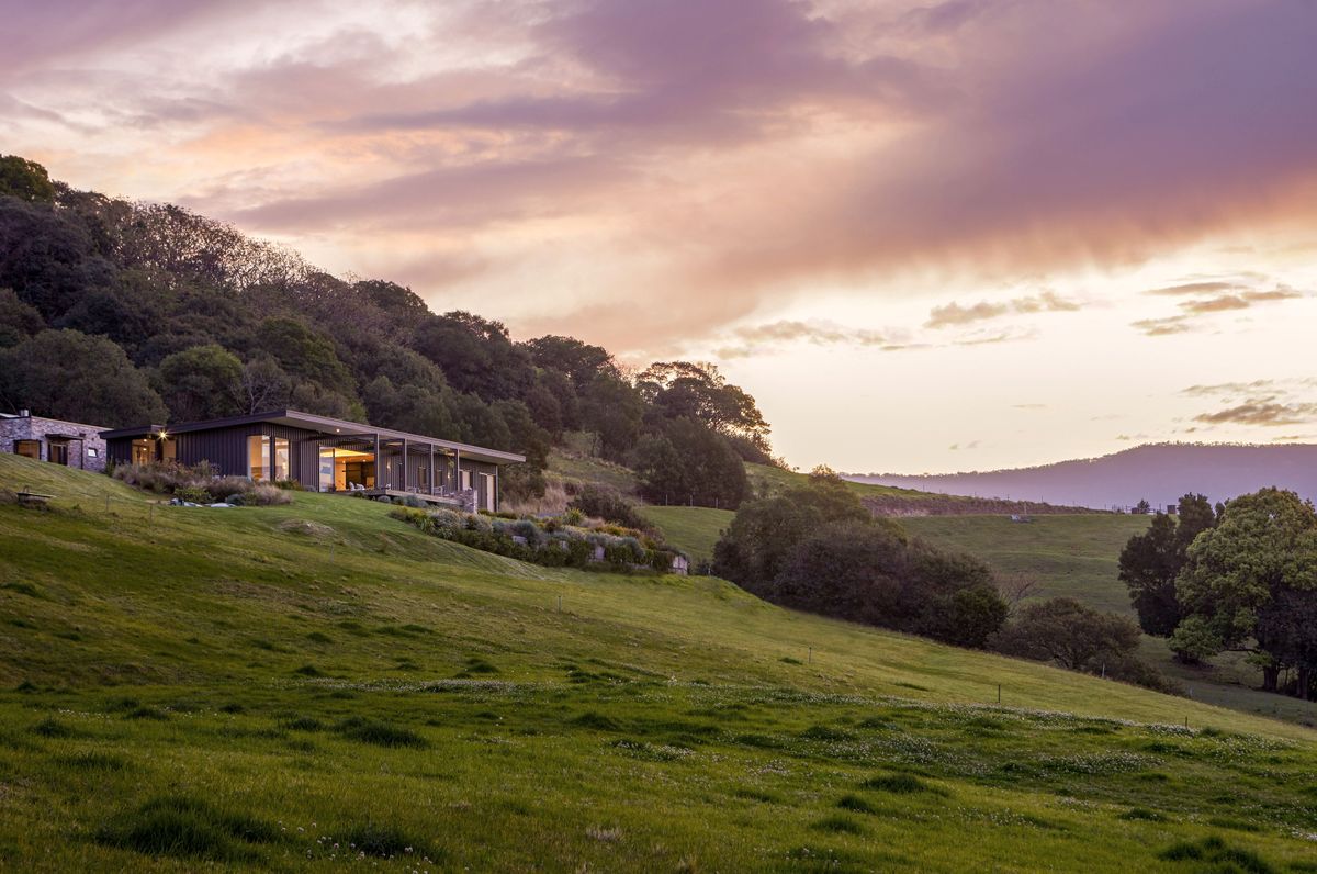 Little Wren Farm