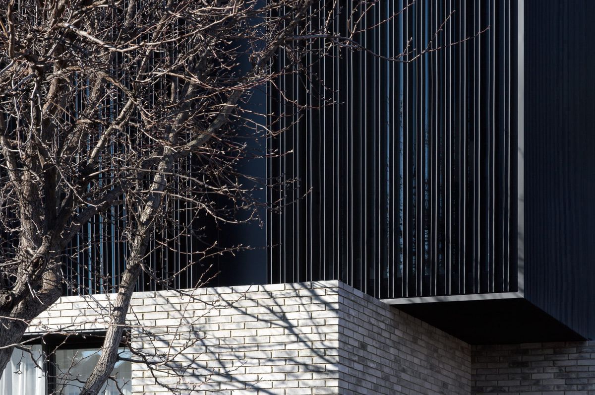 Caroline | South Yarra 