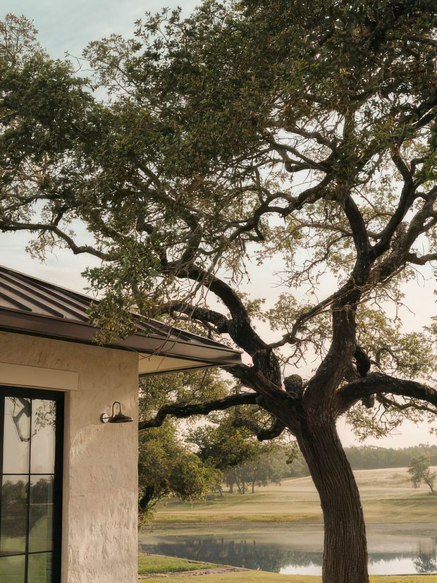 A close exterior view of a low, stucco-clad building with a dark standing-seam metal roof, black-framed glazed door, and wall-mounted exterior light. A large mature spreading tree dominates the foreground, with landscaped grounds and a small pond visible beyond under an overcast sky.
