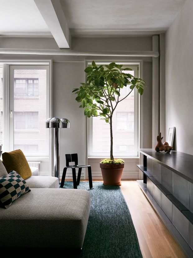 A refined contemporary living room with a large light upholstered sectional sofa, patterned cushions, a black sculptural accent chair, and a tall potted indoor tree. Grey walls and exposed ceiling beams frame two tall windows, while a slim chrome floor lamp and long dark built-in media console line the room. A textured blue-green rug contrasts with pale timber flooring, creating a calm, sophisticated interior.