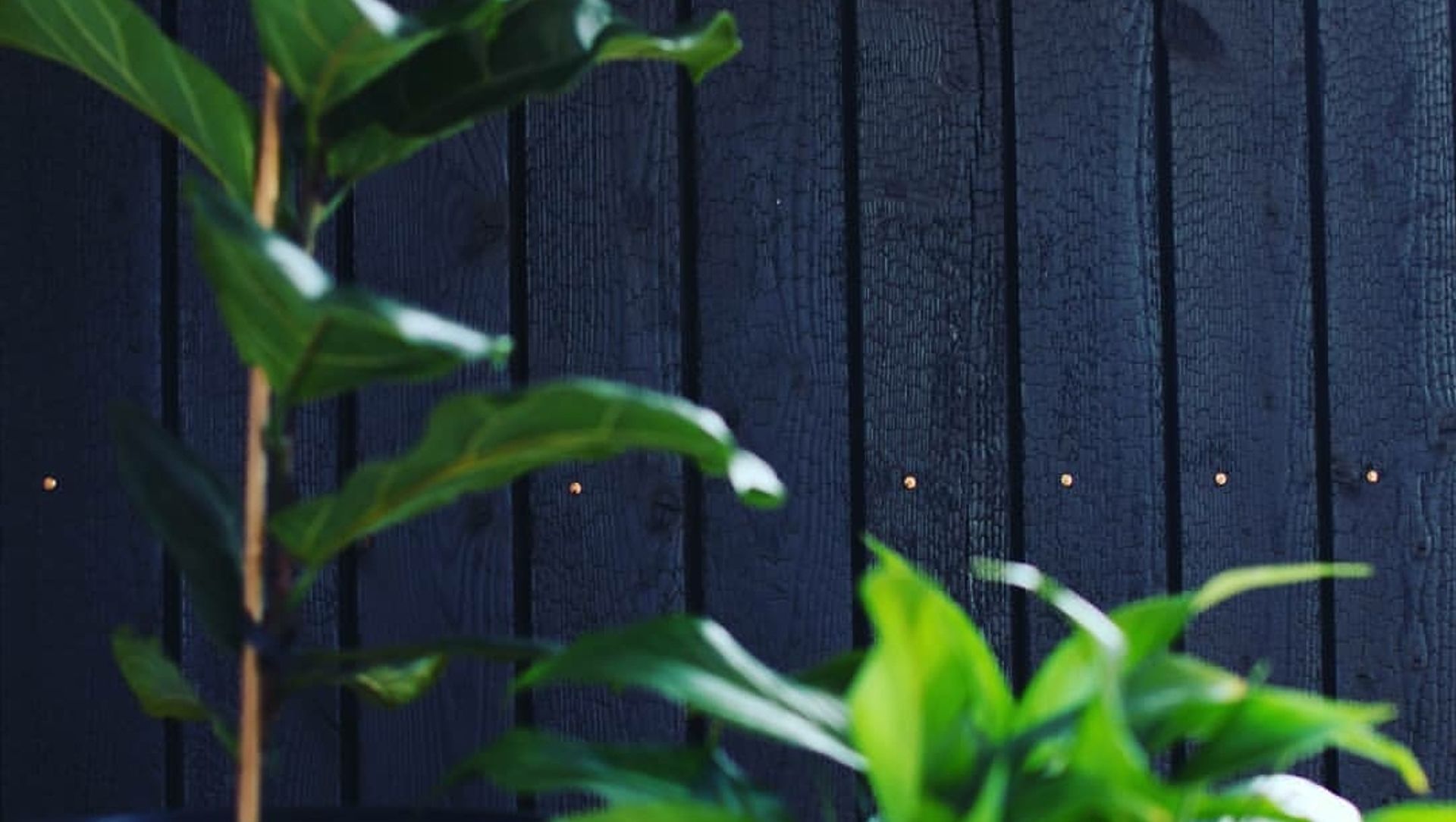 Interior Feature Wall banner