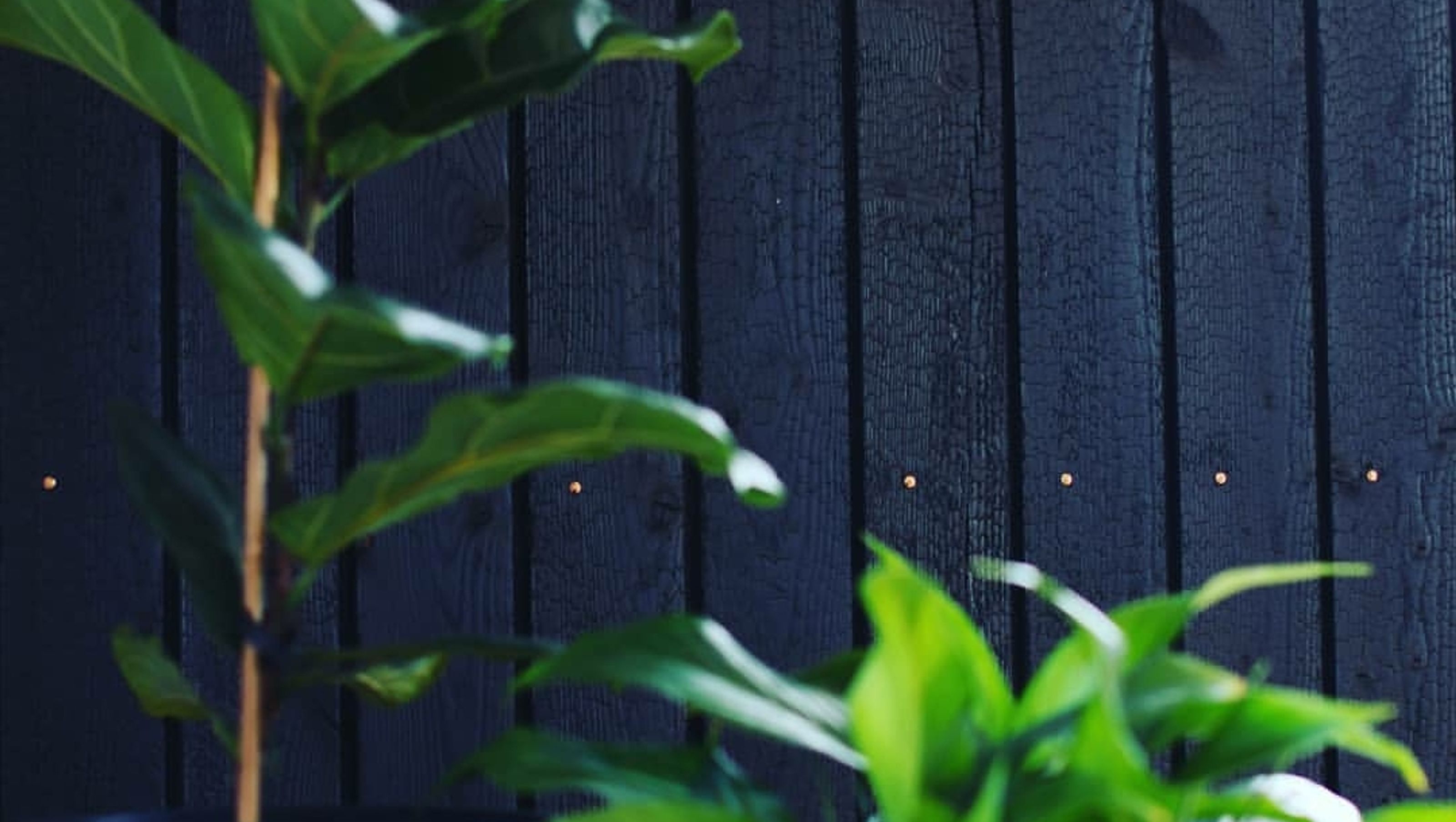 Interior Feature Wall