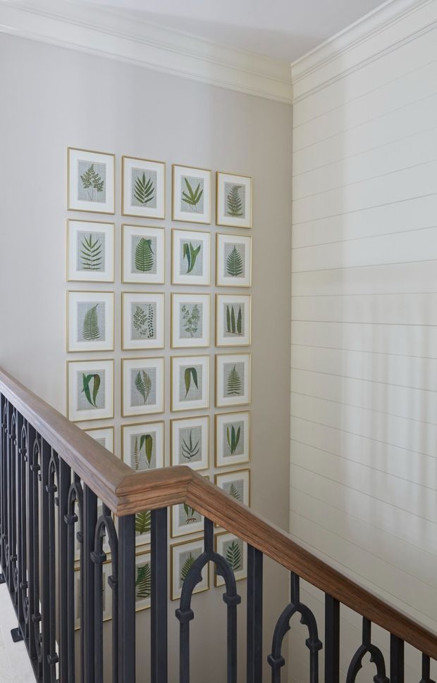 A bright, refined stairway with a dark decorative metal balustrade topped by a warm timber handrail. The stairwell walls are painted soft white and feature vertical white shiplap-style panelling on one side, while the opposite wall is arranged with a large grid of framed botanical prints. Detailed crown moulding finishes the ceiling edges.