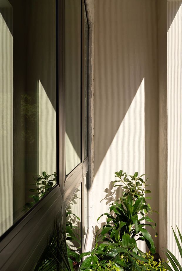 A narrow, sunlit architectural recess or courtyard framed by tall ribbed light-coloured walls and a dark reflective glazed panel. Strong triangular shadows create a dramatic geometric pattern across the textured surfaces, while lush potted greenery fills the base. The image has a minimalist, contemporary feel with warm natural light and high contrast.