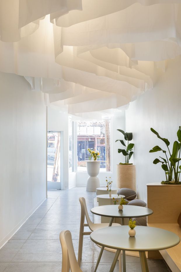Bright, narrow contemporary café or commercial hospitality interior with a linear arrangement of small round tables and light timber chairs. Large potted tropical plants in timber-toned planters line one side, while sculptural layered white fabric or acoustic ceiling elements create a soft undulating canopy. Pale tiled flooring, white walls, abundant daylight, and a street-facing window give the space an airy, minimalist atmosphere.