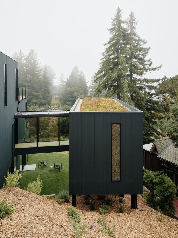 Exterior view of a contemporary dark-clad building set among tall forest trees on a sloping, landscaped site. The composition shows a narrow elevated pavilion with a green roof, slender supports, a glazed bridge or connector, and expansive glazing reflecting the surrounding woodland. A lower lawn and outdoor seating are visible beneath the structure, with misty forest beyond.