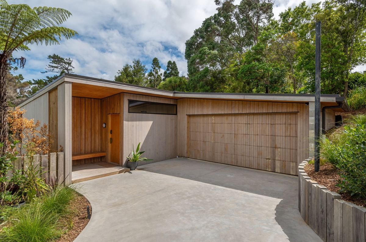 Kauri