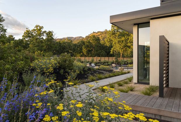 A contemporary flat-roofed house viewed from its landscaped garden, with a sheltered timber-decked outdoor living area, large dark-framed glazing, pale rendered walls, and a carefully planted native-style garden. A paved path winds through flowering planting toward a low boundary fence, with wooded hills visible beyond.