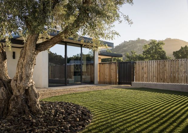 Single-storey modern residence viewed from a landscaped yard, with a flat roof, white rendered walls, extensive dark-framed glazing, timber privacy fencing, and a neatly striped lawn. A mature tree with a dark stone mulch bed dominates the foreground, while low wooded hills are visible in the background.