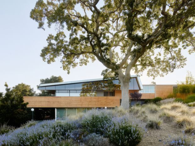 Exterior view of a low-slung contemporary house integrated into a landscaped, gently sloping site. The building features horizontal timber cladding, extensive glazing, a broad overhanging roof, and a partially elevated lower level. Mature trees and ornamental grasses dominate the foreground.