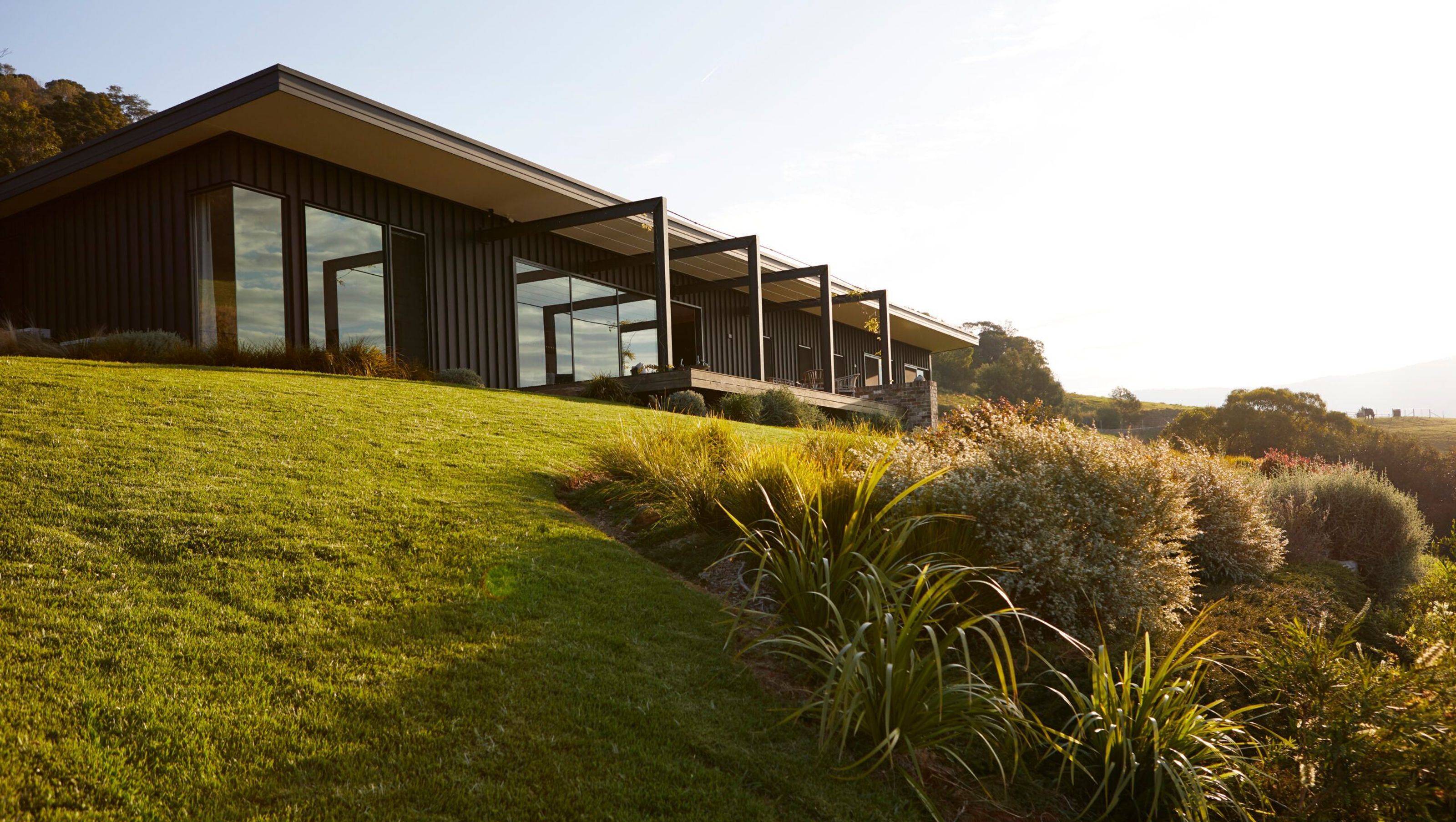 Wallaby Hill