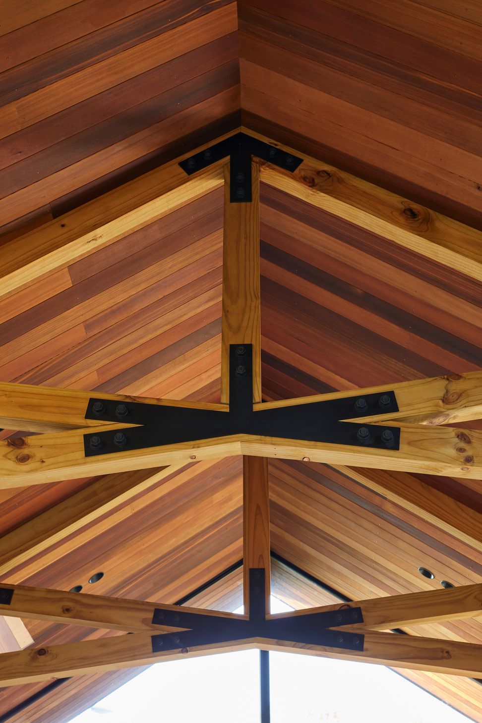 3-Ellison-HseTruss-Sarah-Rowlands3.jpg