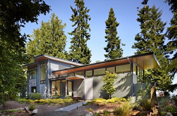 A modern two-storey house set within a mature, wooded landscape. The residence features horizontal dark cladding, extensive floor-to-ceiling glazing, strong projecting roof planes, and a sheltered entry connected by a paved path. Layered native-style planting, tall evergreen trees, and landscaped garden beds surround the building.