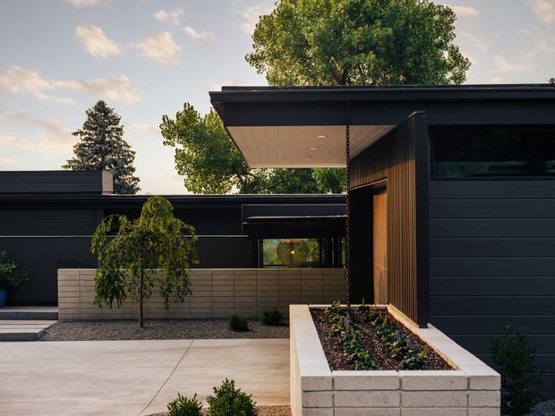 Exterior view of a low-slung, single-storey contemporary residence with dark horizontal cladding, a broad flat roof overhang, timber accent screening, and a dark garage door. A pale masonry raised planter and paved forecourt frame the entry, with established trees visible behind the property.