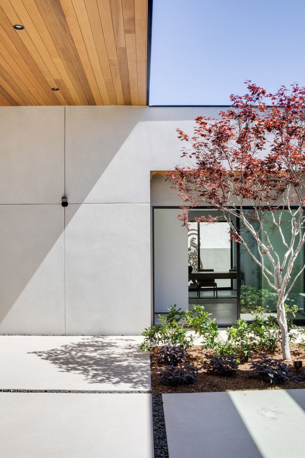 Modern minimalist courtyard facade with smooth pale rendered walls, a warm timber-lined soffit, black-framed glazing, and a landscaped garden bed with a small ornamental tree. Large geometric shadows create a strong graphic pattern across the walls and concrete paving. An interior seating area is visible through the glazed opening.