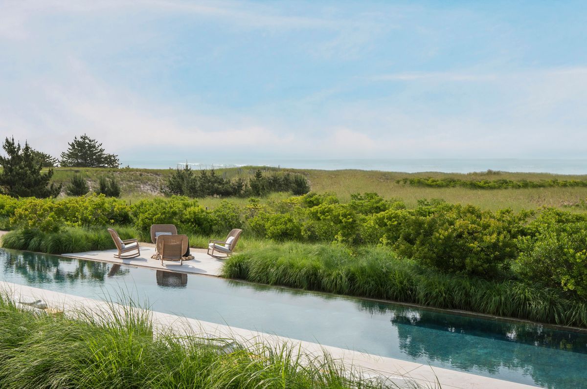 Dune Meadow