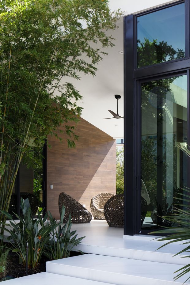 A bright, modern indoor-outdoor living space viewed from a landscaped courtyard. White steps lead to a covered patio with woven lounge chairs, a timber-look feature wall, large dark-framed glazed doors and windows, and a ceiling fan. Dense tropical planting frames the foreground, while reflections in the glazing reveal additional seating and greenery.