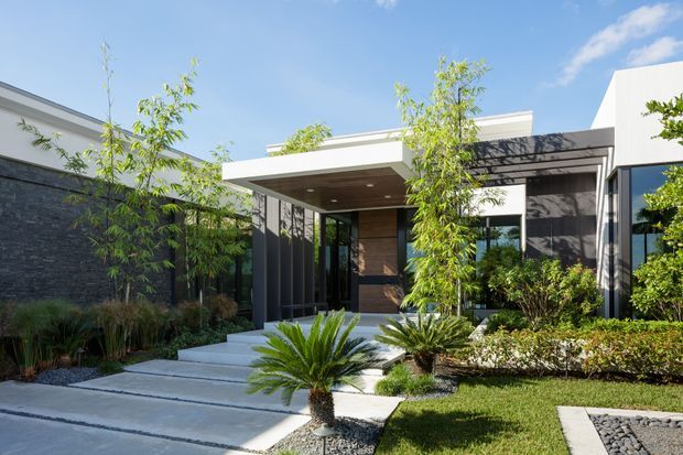 Contemporary single-storey house facade viewed from a landscaped front garden. The entrance is sheltered by a broad flat-roofed canopy, with dark vertical framing, extensive glazing, warm timber-toned cladding at the entry, and a dark textured masonry side wall. Concrete stepping slabs, gravel beds, clipped hedges, cycads, and slender ornamental trees create a structured modern approach.