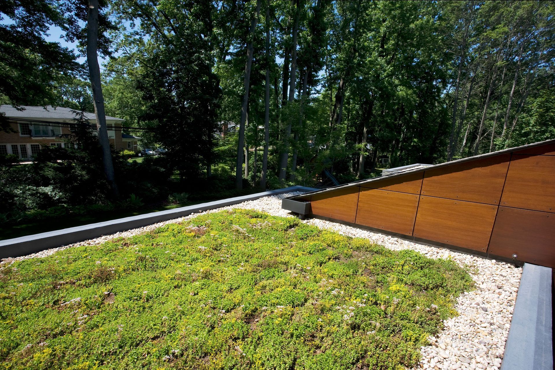 7-Koondel-Green-Roof.jpg
