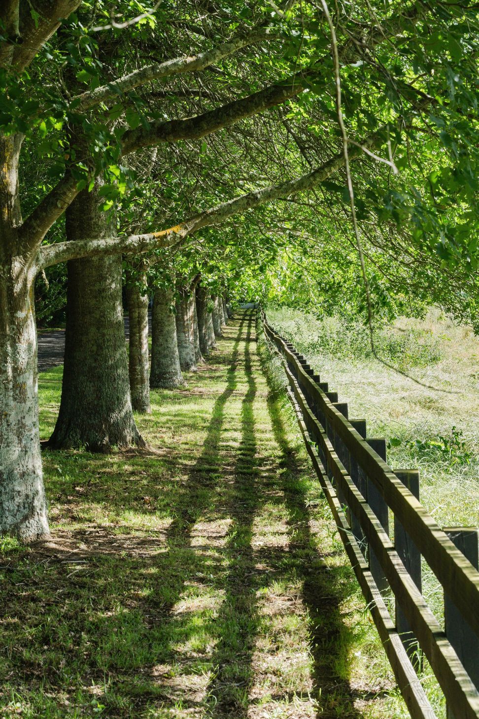 A7401090-v2.jpg