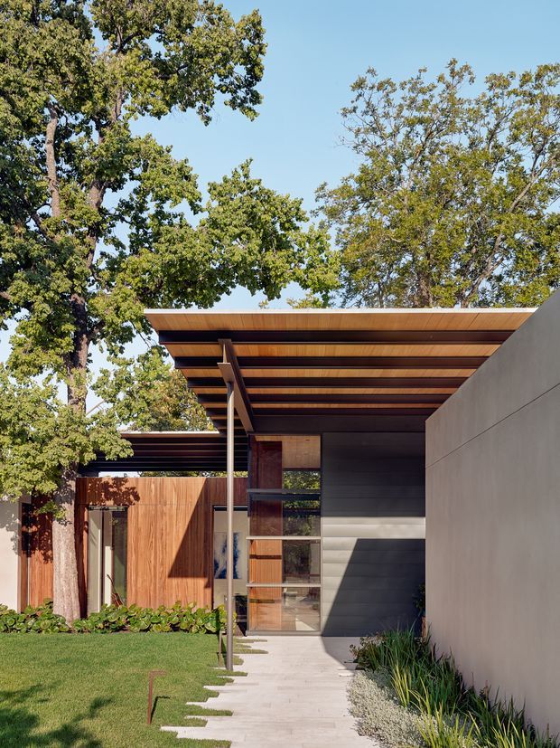 A contemporary single-storey residential entrance viewed from a landscaped front garden. The design features a broad flat roof with exposed timber rafters and deep overhang, dark horizontal wall cladding, warm timber wall panels and door, extensive glazing, and a pale rendered boundary wall. A stepping-stone path leads through the lawn to the recessed entry, framed by mature trees and low planting.