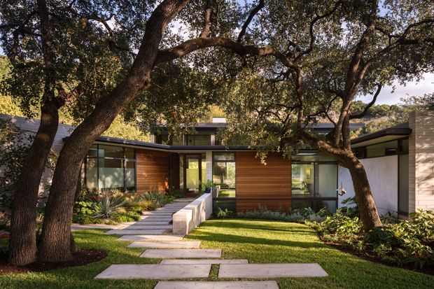 Exterior view of a low-slung contemporary home set beneath mature spreading trees. The facade combines warm horizontal timber cladding, expansive dark-framed glazing, pale masonry or rendered walls, and gently sloping roof forms. A landscaped front garden with clipped lawn, layered planting, and large rectangular stepping slabs leads toward the entry.