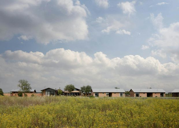 Wide exterior view of a low-rise residential development set behind a broad meadow of yellow wildflowers. The buildings are arranged as a long, dispersed row of single-storey volumes with simple pitched and gabled roofs, dark roof and window elements, and warm brick or timber-toned wall surfaces. Mature trees and open sky form the background, creating a rural, low-density architectural setting.