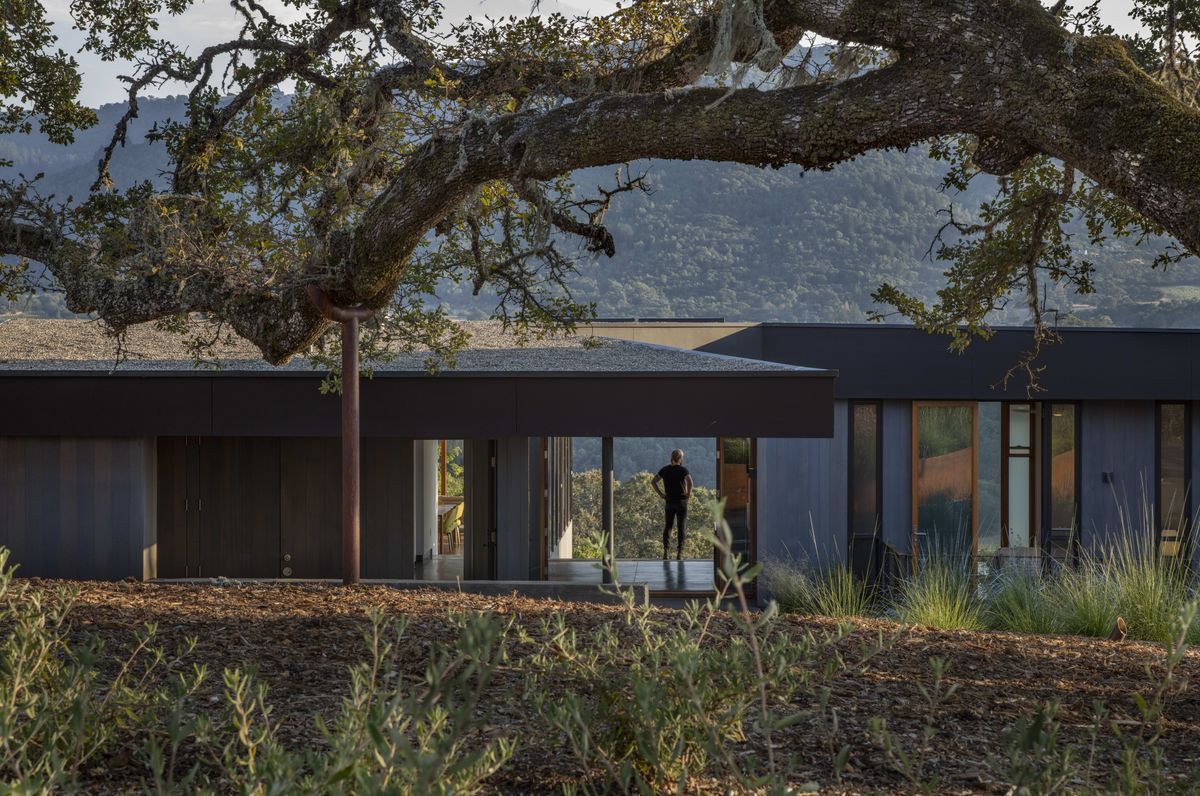 The Lichen House