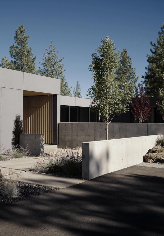 A minimalist modern single-storey residence viewed from the street, composed of flat-roofed rectangular concrete forms. The entry is recessed behind a vertical timber slat screen, with dark-framed glazing and low smooth concrete boundary walls. Sparse drought-tolerant landscaping, ornamental grasses, gravel, and mature trees surround the paved approach and driveway under clear daylight.