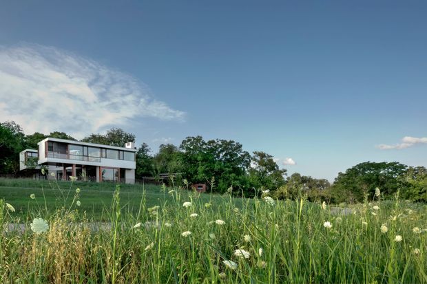 A modern two-storey residential house set within a natural meadow landscape. The home features a long horizontal form, extensive floor-to-ceiling glazing, dark structural framing, and pale exterior wall surfaces. Mature trees surround the site, while tall grasses and white wildflowers fill the foreground beneath an expansive blue sky.