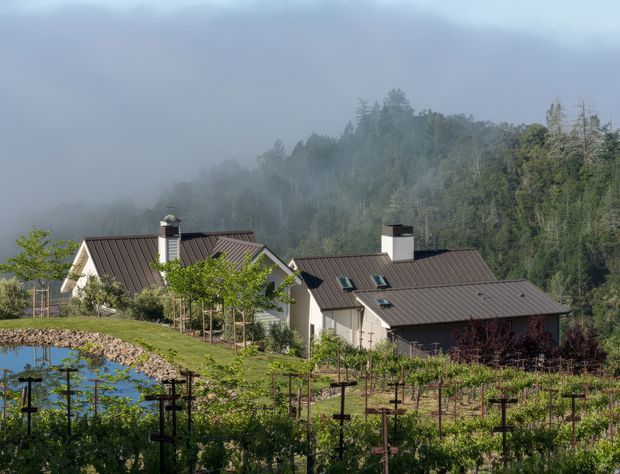 A rural residential property set among landscaped vineyard rows and dense forested hills, with interconnected cream-coloured buildings featuring dark standing-seam pitched roofs, skylights, and prominent chimneys. A small body of water is visible at the left edge, while mist creates a secluded, atmospheric setting.