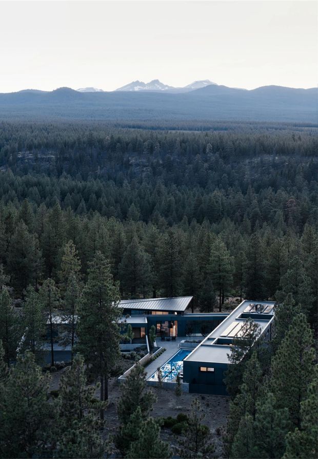 Aerial view of a low, modern residence nestled among dense pine forest, with dark geometric volumes, pitched and angled metal roofs, extensive glazing, and a narrow blue swimming pool. Snow-capped mountains and layered forested hills form the distant backdrop. The scene has a cool, subdued, nature-integrated atmosphere.